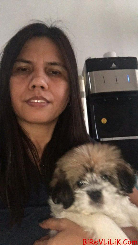 Evlenecek Ciddi Bay Arıyorum, Evlenecek Ciddi Bayan Arıyorum, Evlenecek Ciddi Bay, Evlenecek Ciddi Bayan, Evlenecek Ciddi, Bay Arıyorum