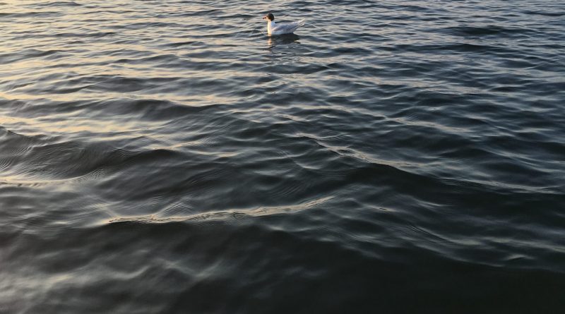 Bayan arkadaş arıyorum 1 Bayan arkadaş arıyorum 1