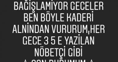 kendime bir dost arkadaş arıyorum. 1