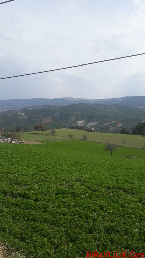 Citti evlik yapmak için geldim 1