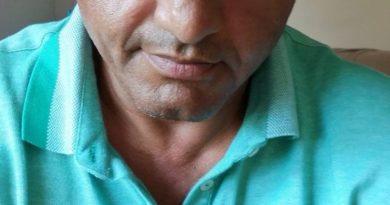 Metirdemir 1