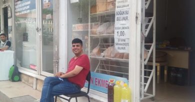 cşiddi amaçlı evlilik 1
