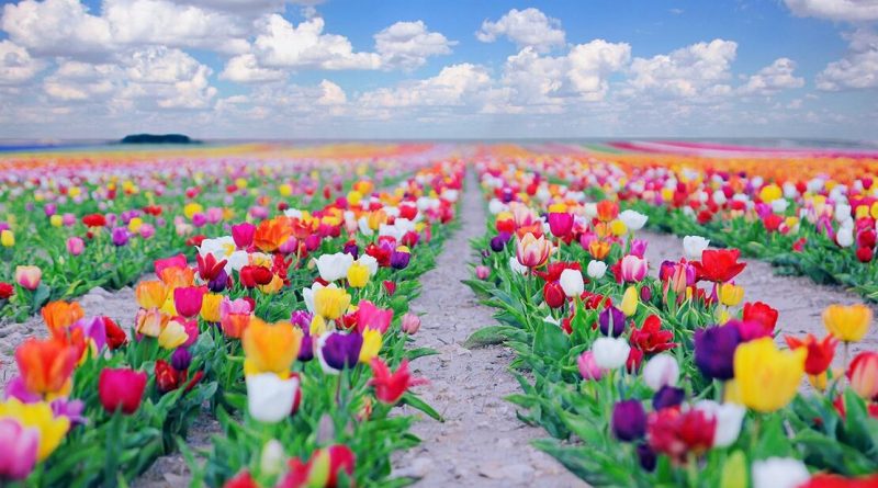 Düzce Mehmet 1 arkadaslık veya evlilik beylikdüzü