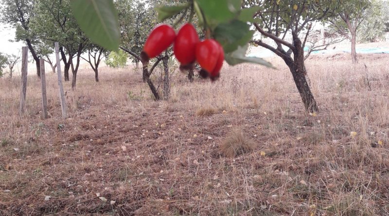 Seven ne yapmaz.. 1 Seven ne yapmaz..