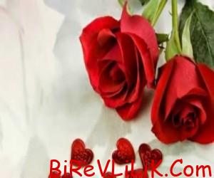 Antalya’da yaşıyorum 1 AŞK ARAYAN BAYAN ARIYORUM