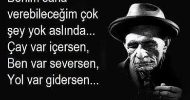 SENI ARIYORUM