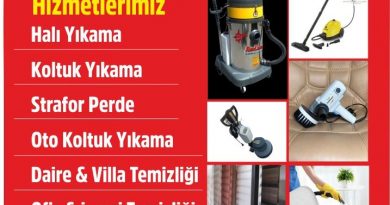 Emekliyim yalnızım 1