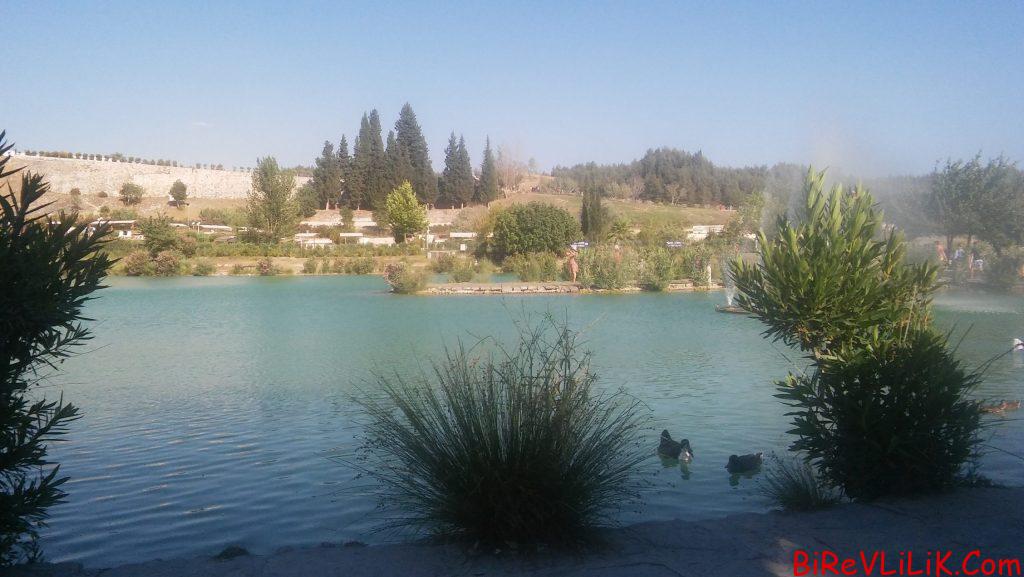 Yoldaş