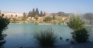Yoldaş