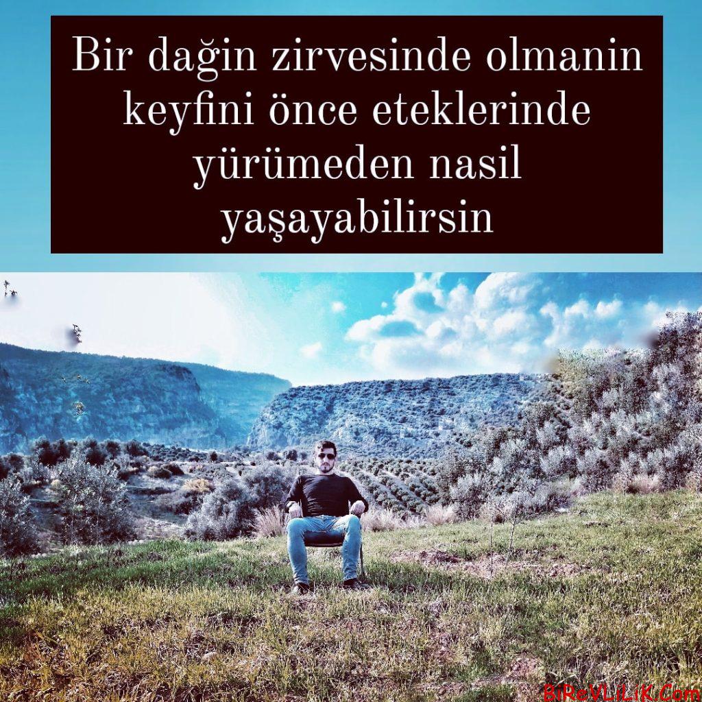Bayan arkadaş
