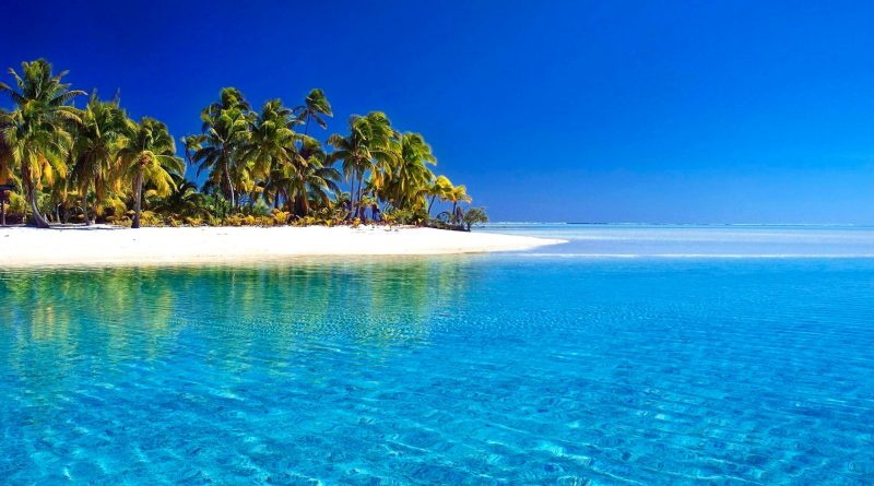 BEKAR HIC EVLENMEMIS 1 evlilik