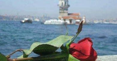 Baseldenim. Neredesin sen.
