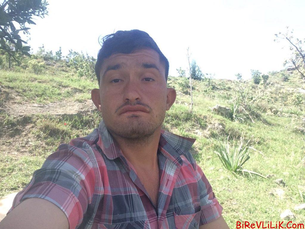 Olesıne