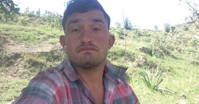 Olesıne