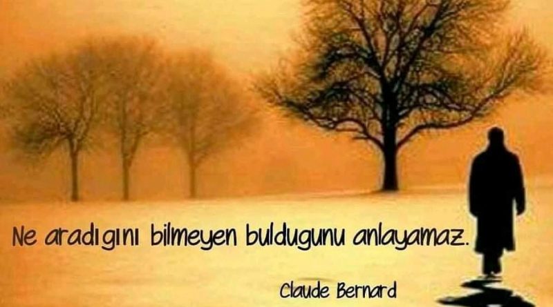 Adanda yaşıyorum 1 Herşeyin hayırlısı