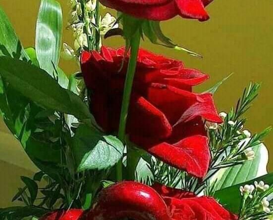 romantk ve duygusalım 1 CIDDI EVLILIK