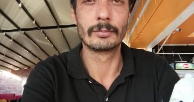 Yuva kutma isteği