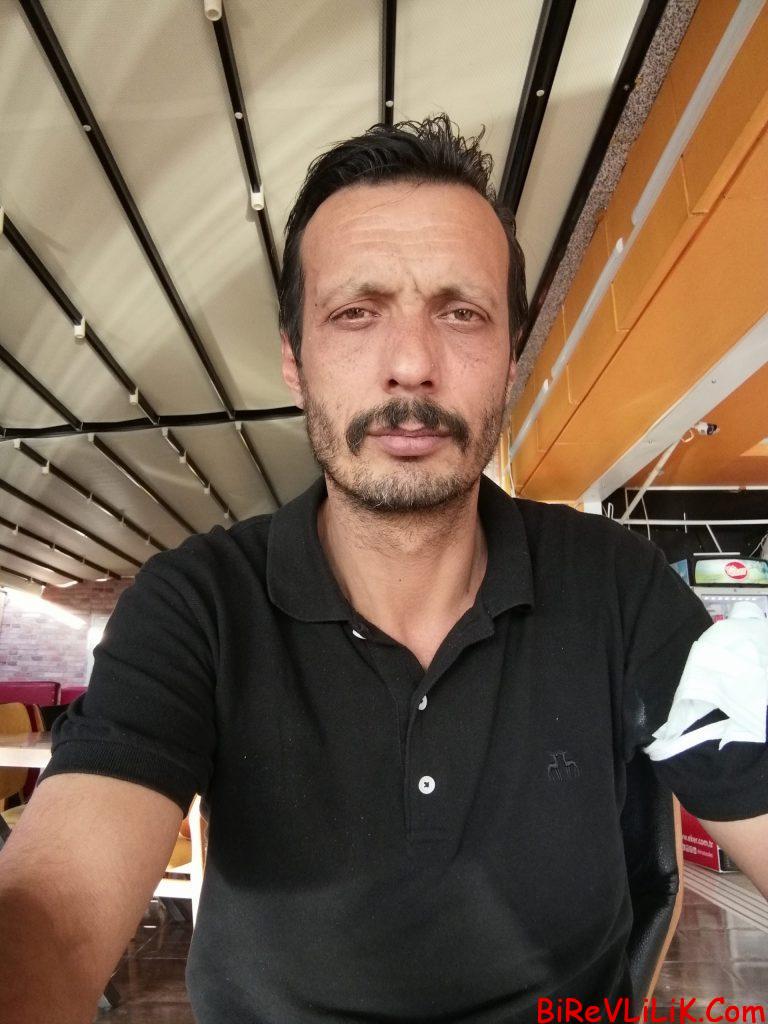 Yuva kutma isteği