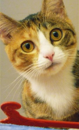 herkez kedini iyi yönunu anlatır 1 arkadaslik