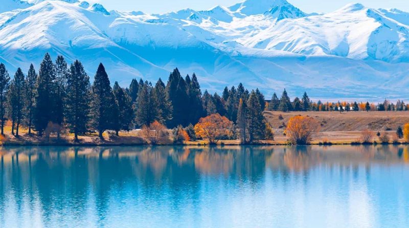 Dost arıyorum 1 Dost arıyorum