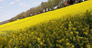 evlilik düsünen bir bayanla