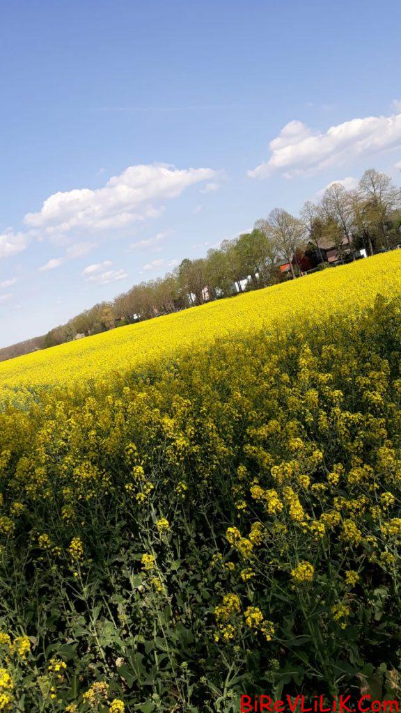 evlilik düsünen bir bayanla