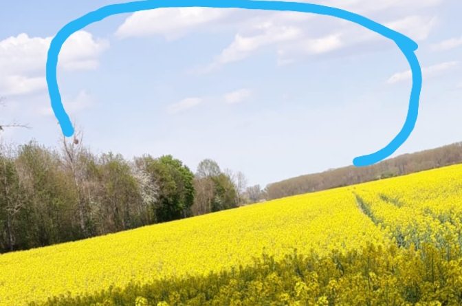 Mehmet ben muşlu bayanlarla tanışmak isterim 1 Selam 0157 36 30v37 34