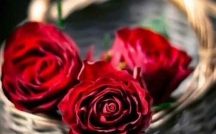 Erkek arkadaş ariyorum 1 Erkek arkadaş ariyorum