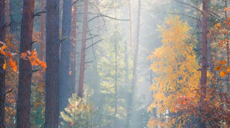 Ciddi düşünüyorum 1 Ciddi düşünüyorum