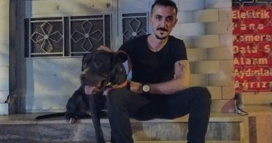 Arkadaşlıktan Evliliğe