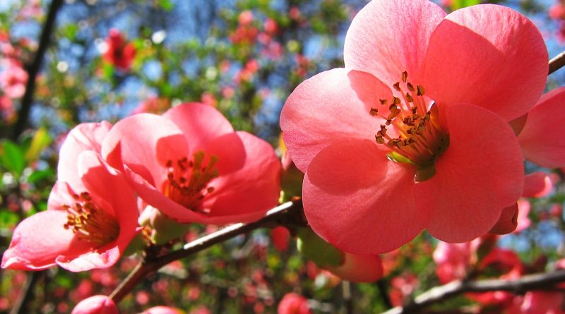 lutfen sadece cidi olanlar yazsin 1 lutfen sadece cidi olanlar yazsin