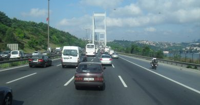 GÖNÜL DOSTU OLABİLECEK BEY ARAYAN BAYAN ARIYORUM
