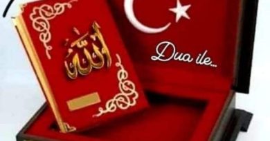 Cidi arkadaslik evlilik