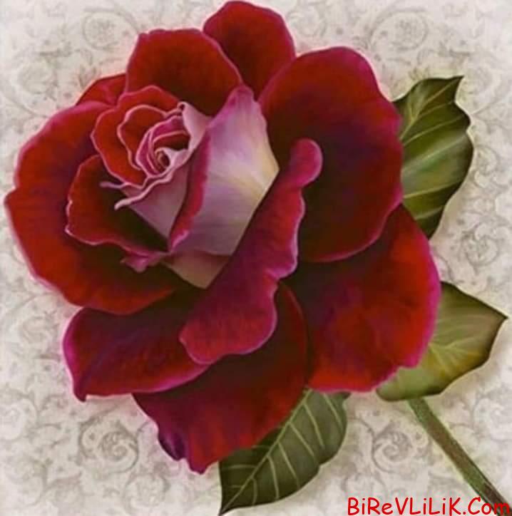 Ben almanyadan katılıyorum 1 almayada yasiyorum citdi evllik düsünen.jpg