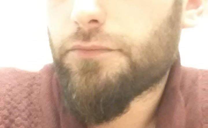 Yanliz Kurt 1 Yanliz Kurt