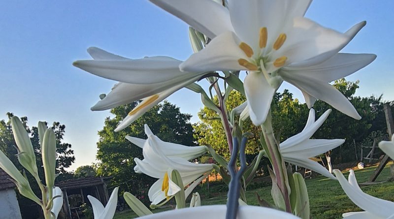 sadece huzur arıyorum 1 Evlilik Selam ben pelin