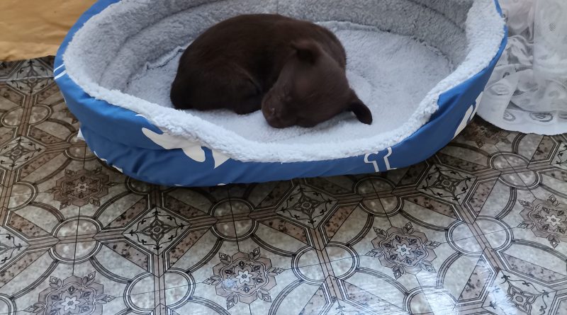 Ciddi anlamda tanımak evlenmek istiyorum 1 Evlılık Mrb ben mercan