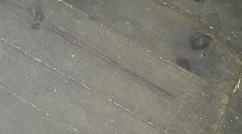 Kamudan emekliyim 1 Bayan Slm afyondan