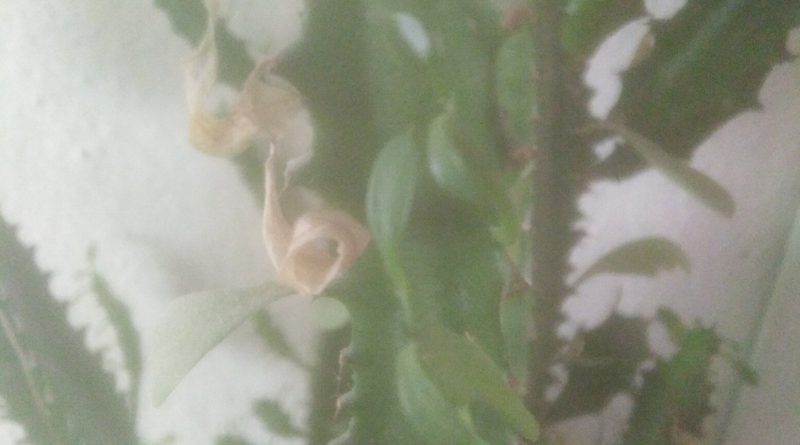 Bayan arkadaş arıyorum 1 Bayan arkadaş arıyorum