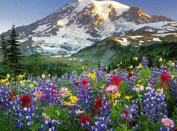 Şu yalan dünyada gerçek dünyam olur musun 1 Şu yalan dünyada gerçek dünyam olur musun