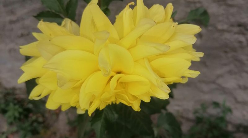 Arkadaş sohbet Mehtap 1 Gönlümün sultanını arıyorum