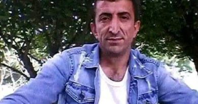 Sadece mutlu bir yuva kurmak istiyorum