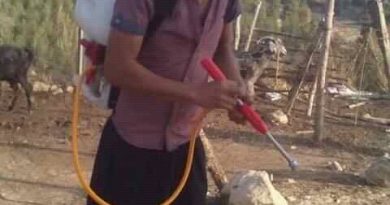 Bakımlı bayanlar yazsınlar tanışalım