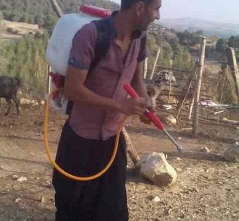 Bakımlı bayanlar yazsınlar tanışalım 1 Bakımlı bayanlar yazsınlar tanışalım