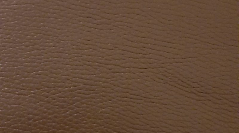 Adim Koray 1 Niyetim Ileriye Yönelik