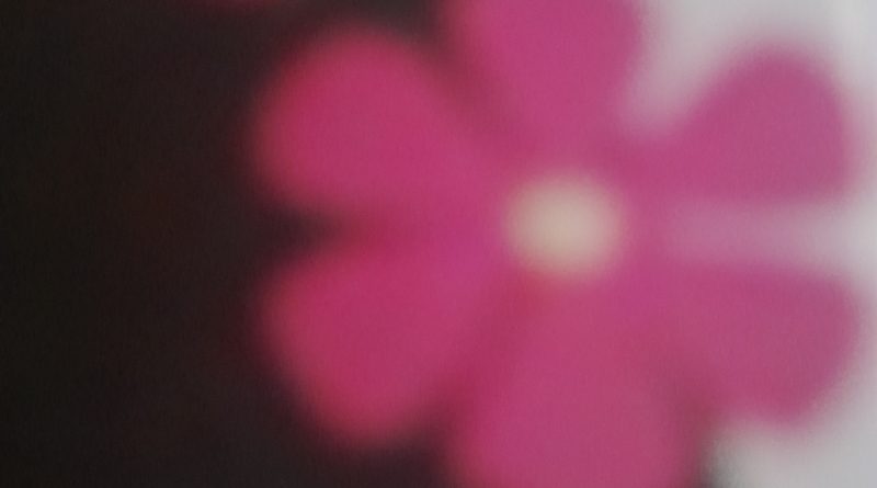 Merhaba güzel hanımefendiler 1 Merhaba güzel hanımefendiler