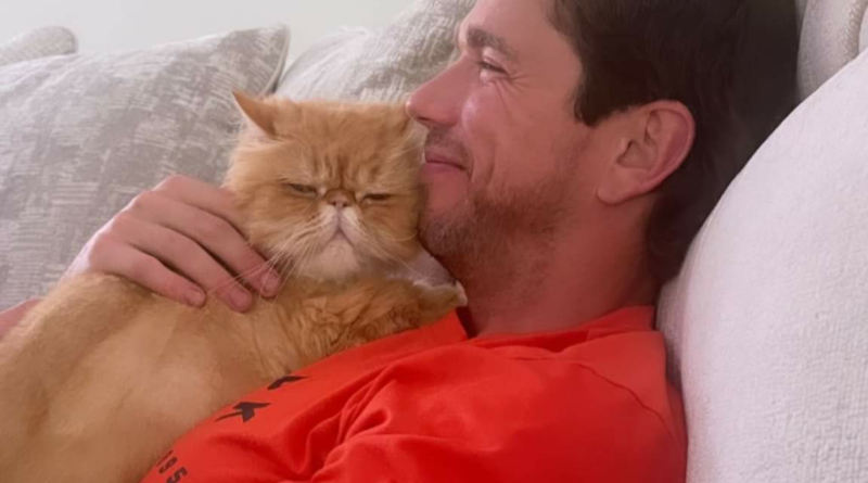 sdcevlilik 1 sdcevlilik