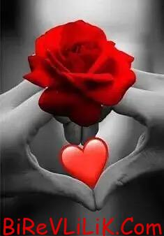 Evlenmek istiyorum Hollanda’da yaşıyorum 1 Evlenmek istiyorum Hollanda’da yaşıyorum