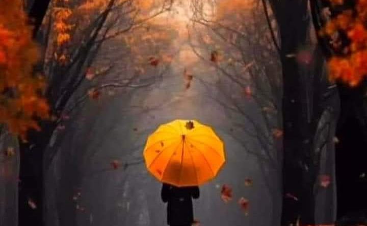 Dürüst ciddi bir bayanla tanışmak 1 Dürüst ciddi bir bayanla tanışmak