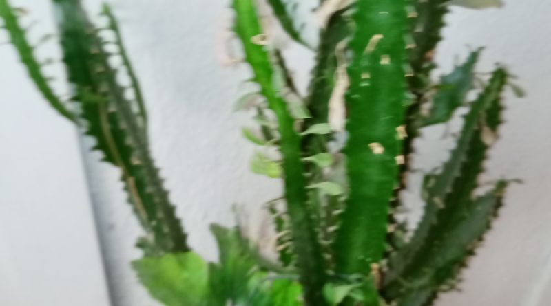 Bayan arkadaş sevgili arıyorum yaş hiç fark etmez 1 Bayan arkadaş sevgili arıyorum yaş hiç fark etmez